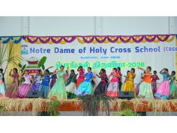 Notredame HCS